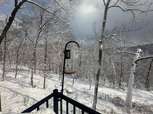 Treehouse Forest View Winter Firefly 1 and Firefly 2