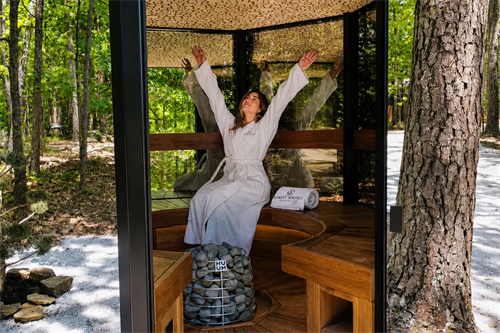 Gallery Image 9._Sauna.png