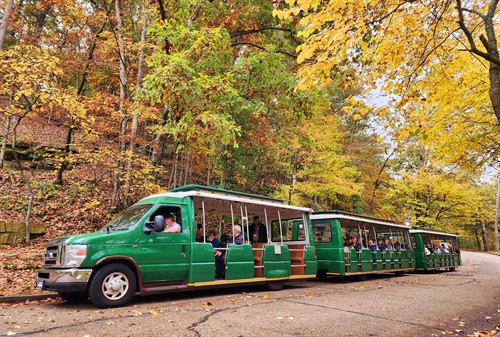Tram Tour in Fall