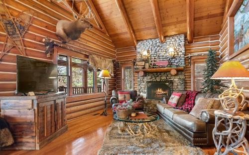 Rustic Living Areas