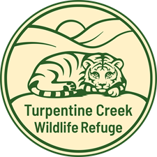 Turpentine Creek Wildlife Refuge Turpentine Creek Wildlife Refuge