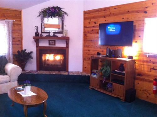 Living room area in Woodland Violets
