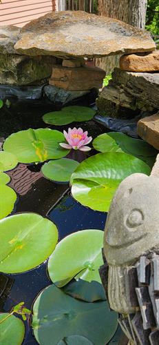 Gallery Image 1000015716.jpg