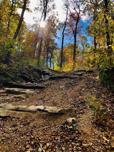 Gallery Image 3BPark3.JPG