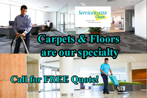 Carpet & Floors Professionally Cleaned