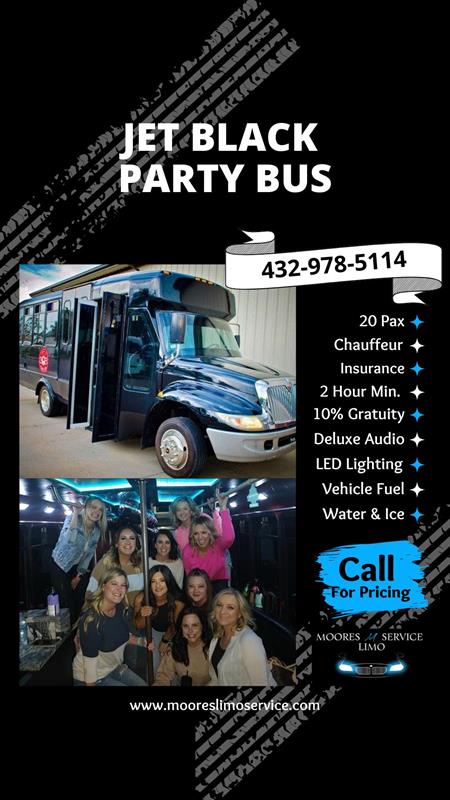 20 Passenger "Jet Black" Party Bus