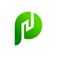 Paige Co Professional Services Inc
