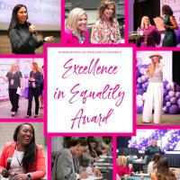 Midland Chamber Launches Excellence in Equality Award