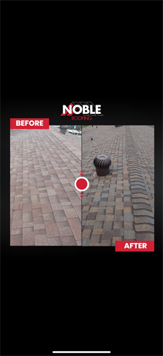 Gallery Image noble_pic3.png