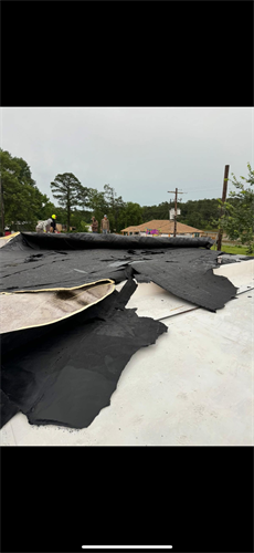 Gallery Image picture_6.png