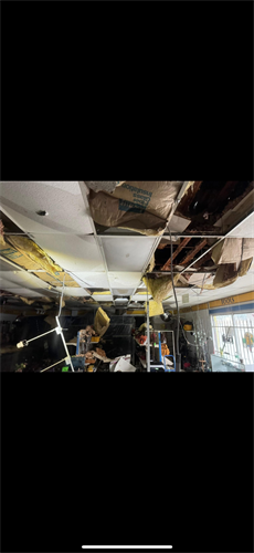 Gallery Image picture_8.png