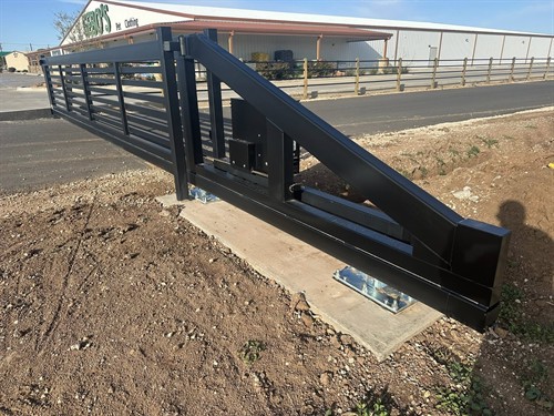 Gallery Image Brandon_Bird_1.jpg