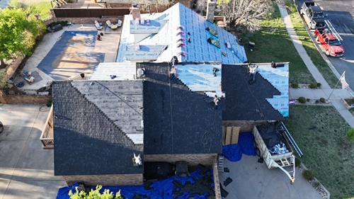 Gallery Image LBK._TX_1.jpg