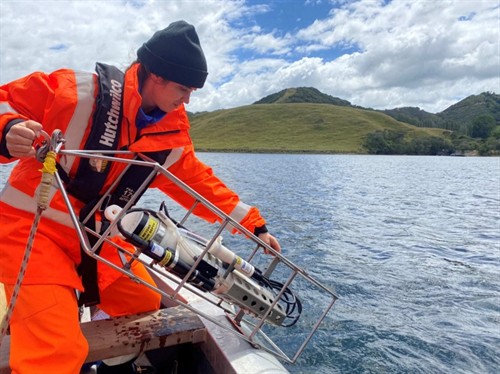 Hamilton ecologists undertake a fresh-water survey