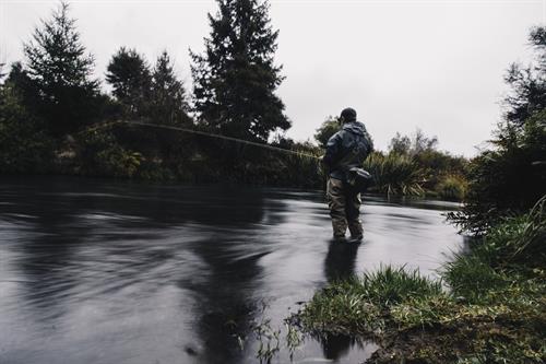 Guided Fly Fishing trips