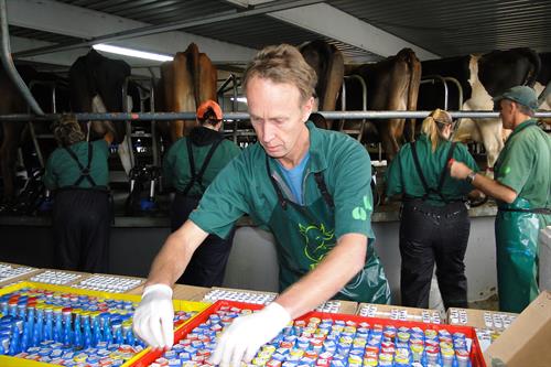 Globally recognised through Cognosco, our research divison, for internal lab access and research support.