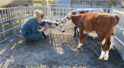 Our priority is healthy herds for your farms.