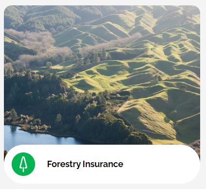 Forestry Insurance