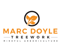 Marc Doyle Treework