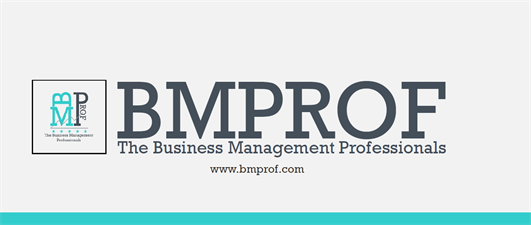 The Business Management Professionals-BMPROF