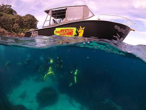Dive Zone Whitianga offers amazing underwater experiences