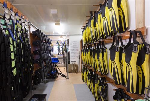 Dive Zone Whitianga has a huge range of quailty dive hire gear too