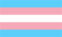 Member Event: Trans people in the workplace: the politically incorrect guide