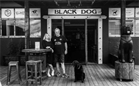 Black Dog Furniture