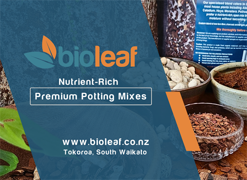 Bio Leaf branding and information