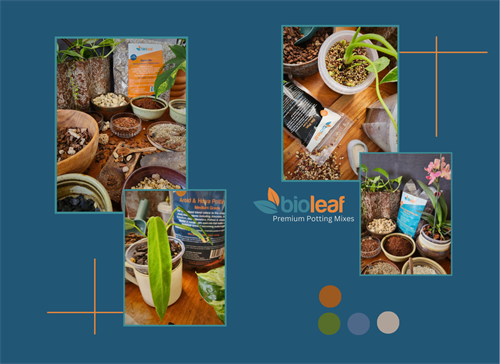 Bio Leaf branding and information showcasing products Bio Leaf branding and information showcasing products