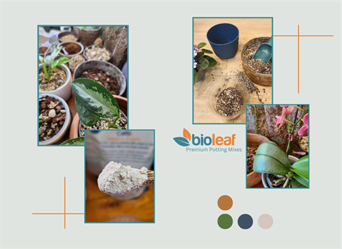 Bio Leaf branding and information showcasing products