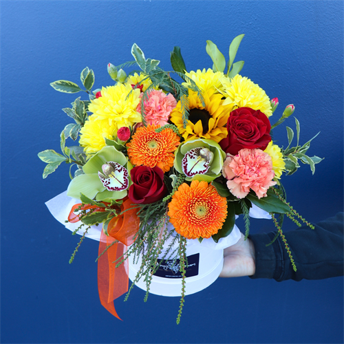 Sending Sunshine Hatbox Sending Sunshine Hatbox