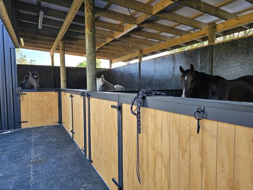 Multi-Use - Reusable construction board