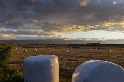 Gallery Image Central_Otago.jpg