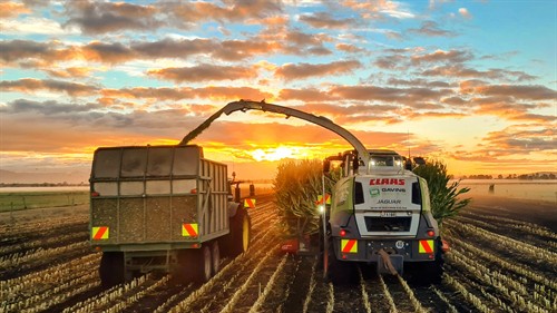 Gallery Image Copy_of_20210317_072848-5_-_Mason_O'Regan.jpg