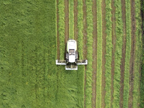 Gallery Image Copy_of_Hodel_chopper_mowers_at_Pouarua.jpg