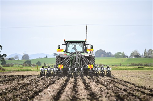 Gallery Image Copy_of_Sam_B_-_6m_stripcat_-_20_.jpg