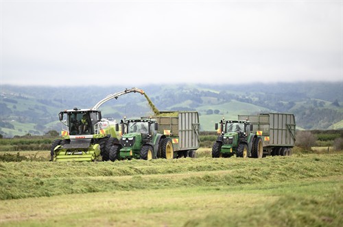 Gallery Image Copy_of_Shaun._Adam_and_Olivia_Pouarua.jpg