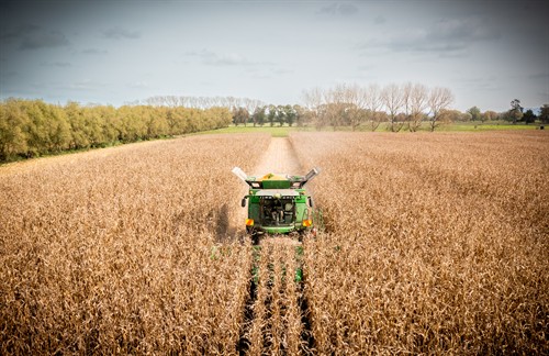 Gallery Image Copy_of_image1.jpeg