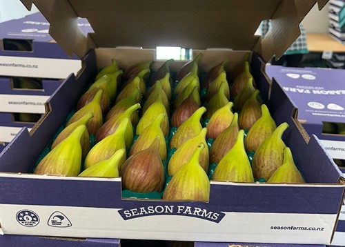 Gallery Image b5987559-8d84-432b-92bc-ce24446278da.jpg