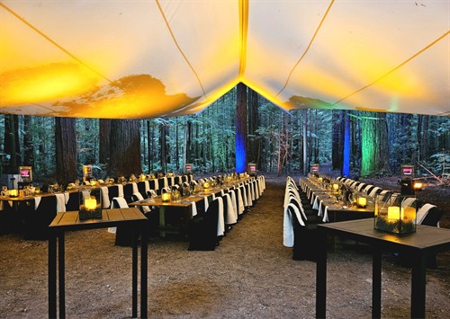 Redwoods Under the Sail venue - Rotorua