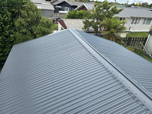 Gallery Image roofing_hamilton.jpg