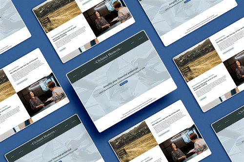 Gallery Image Hamilton_Pukekohe_Waiuku_Website_Designer(1).jpg