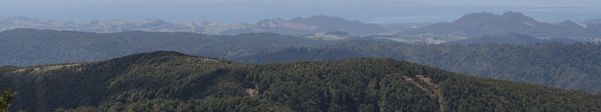 Manaaki Kaimai Mamaku Trust Manaaki Kaimai Mamaku Trust