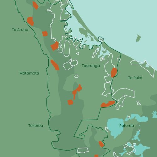 260,000 hectare project area from Paeroa to Tokoroa. 