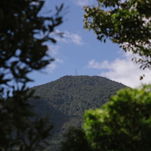 Mt Te Aroha is a site of significance.