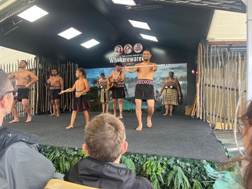 A captivating glimpse into traditional Maori performance, storytelling, and living history in the heart of Rotorua.