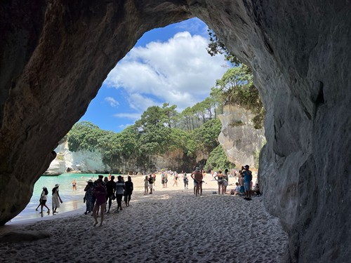 Iconic views around every corner. Framing perfect memories at Cathedral Cove! From lush green forests to dramatic coastal archways and turquoise waters, the Coromandel coastline is an absolute must-see on any North Island journey.  Where is top of your New Zealand bucket list? Let us build the ultimate private itinerary for you. ????  #CathedralCove #Coromandel #VisitNZ #GreatNorthTours #PremiumTravelNZ #CustomTours #NewZealandVacation