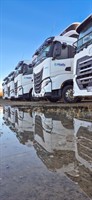 HALL'S GROUP LIMITED