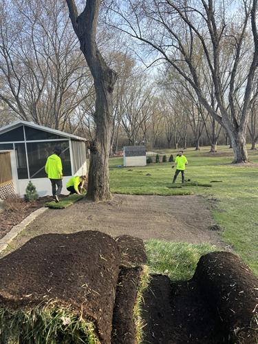 Sod Installation
